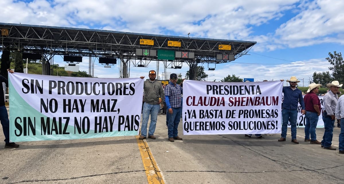 Productores de maíz preparan movilización en Culiacán