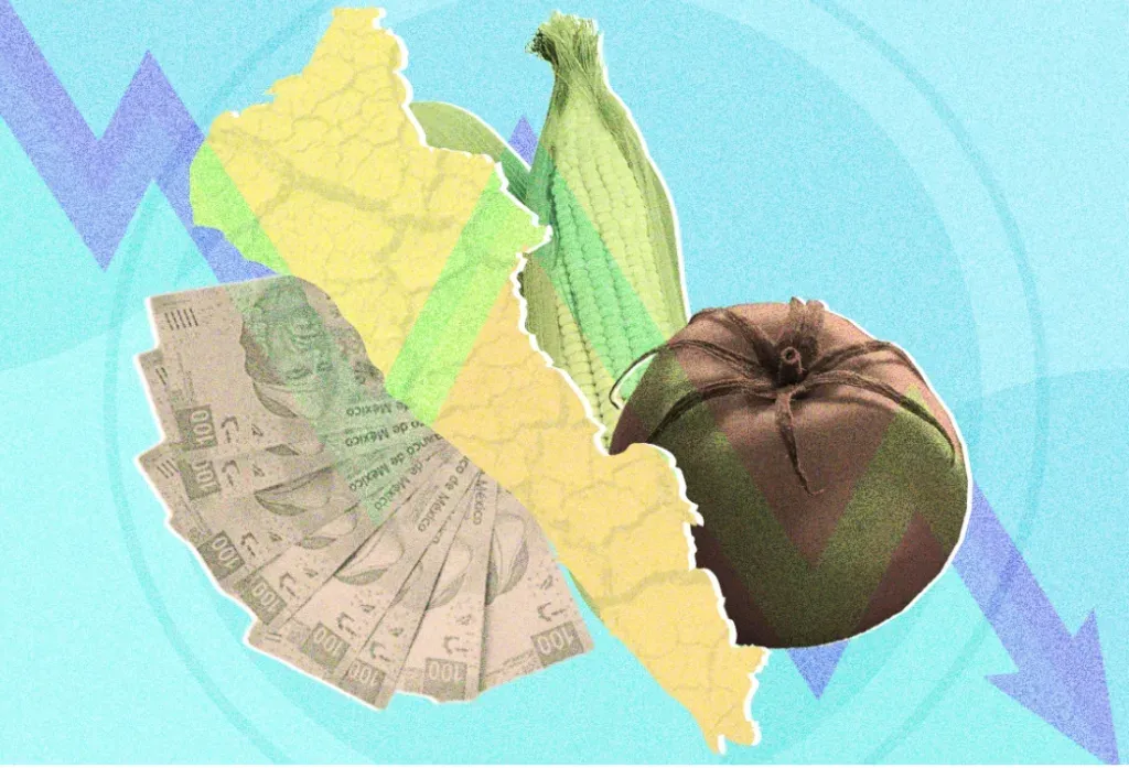 Sinaloa pierde fuerza económica: el campo enfrenta una caída preocupante