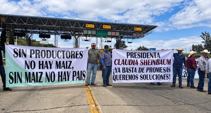 Productores de maíz preparan movilización en Culiacán