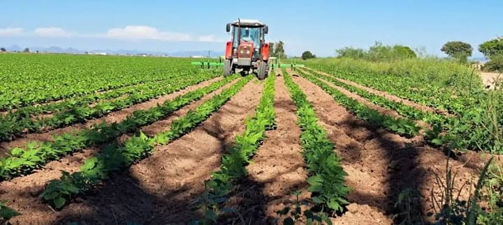 Campo sinaloense espera que los anuncios se conviertan en soluciones