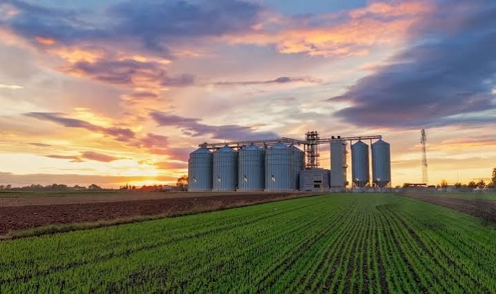 El campo sinaloense necesita certidumbre, no solamente promesas de apoyo
