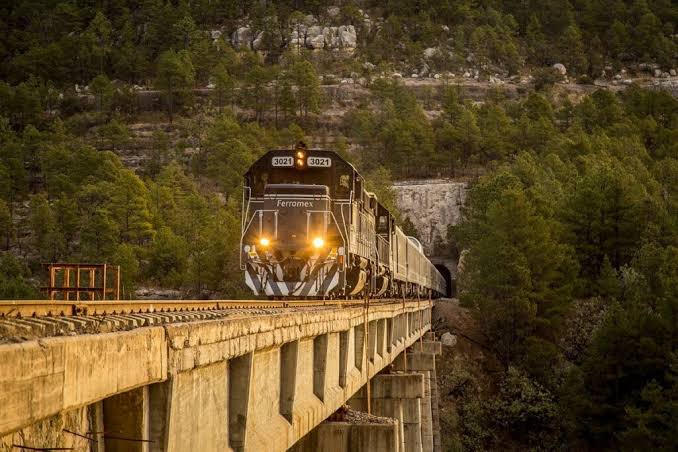 Tren Sinaloense queda en cero en el presupuesto 2027