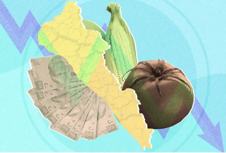 Sinaloa pierde fuerza económica: el campo enfrenta una caída preocupante
